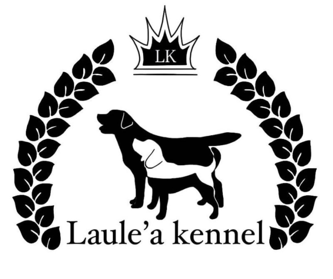 Laule'a犬舎ロゴ
